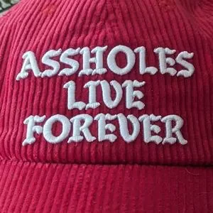 Linda Finegold Assholes Live Forever Corduroy Strapback Red White Hat OS assholes live forever | Other | Linda Finegold Alf Drink  main image 2